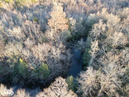 Farm and Ranch for sale in Conecuh County, Alabama
