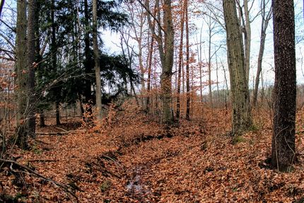Recreational Property for sale in Van Buren County, Michigan