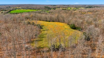 Farm and Ranch for sale in Houston County, Tennessee