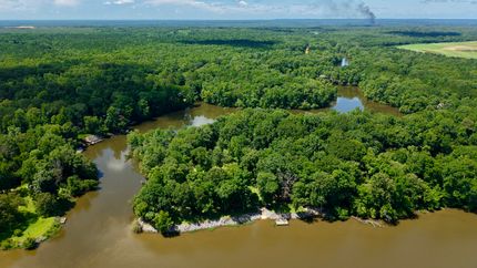 Land for sale in Lowndes County, Alabama