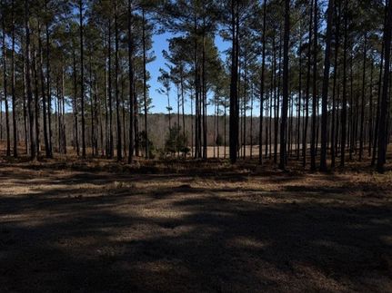 Land for sale in Lee County, Alabama
