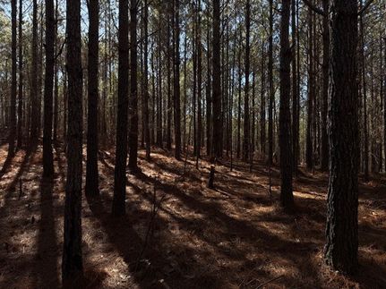 Land for sale in Tallapoosa County, Alabama