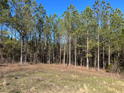 Land for sale in Chambers County, Alabama