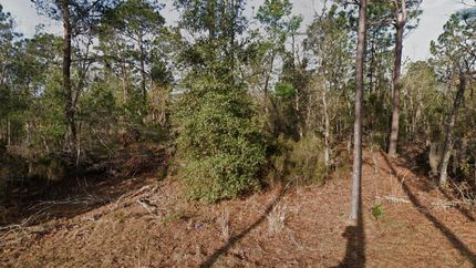 Farm and Ranch for sale in Putnam County, Florida