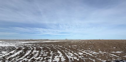 Undeveloped Land for sale in McCook County, South Dakota