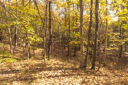 Timberland Property for sale in Atoka County, Oklahoma