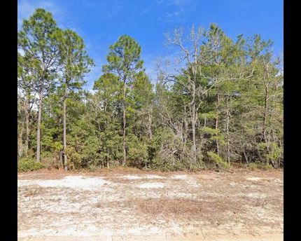 Hunting Property for sale in Putnam County, Florida