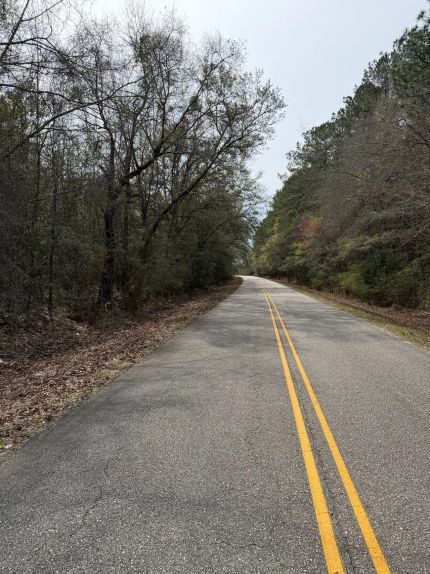 Recreational Property for sale in Covington County, Alabama