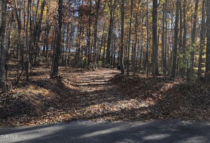 Land for sale in Sullivan County, Tennessee