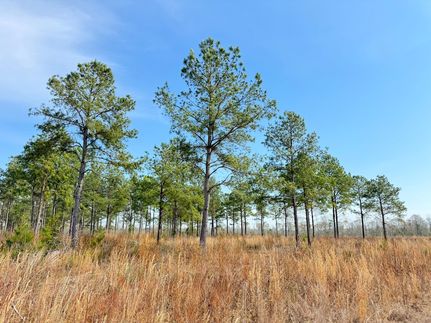 Farm and Ranch for sale in Dillon County, South Carolina