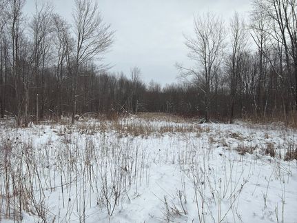 Timberland Property for sale in Ashtabula County, Ohio