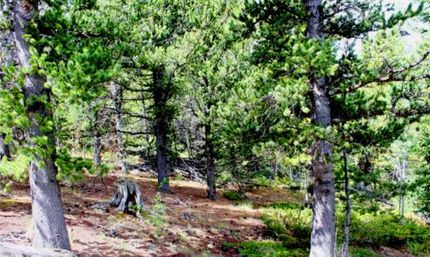 Hunting Property for sale in Gilpin County, Colorado