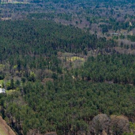 Land for sale in Attala County, Mississippi