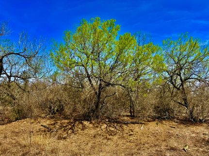 Recreational Property for sale in Duval County, Texas