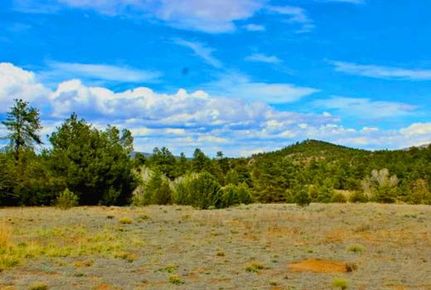 Timberland Property for sale in Fremont County, Colorado