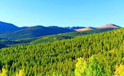 Farm and Ranch for sale in Clear Creek County, Colorado
