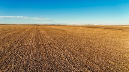 Timberland Property for sale in Phillips County, Colorado