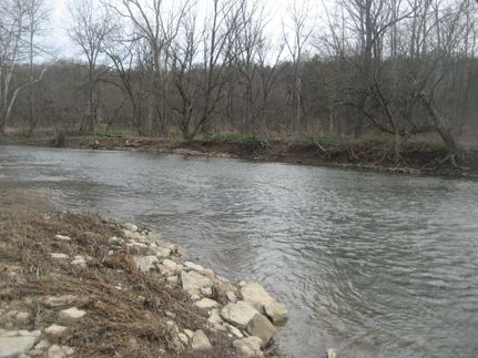 Timberland Property for sale in Henry County, Kentucky
