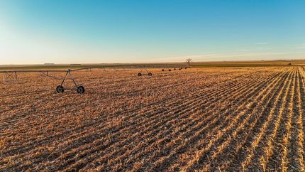 Farm and Ranch for sale in Sedgwick County, Colorado