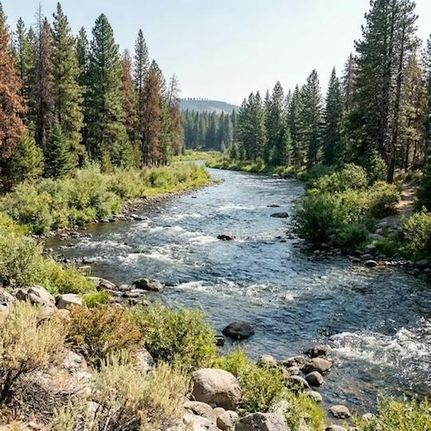 Recreational Property for sale in Boise County, Idaho