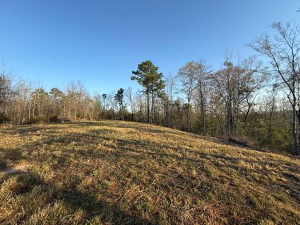 Land for sale in Tuscaloosa County, Alabama