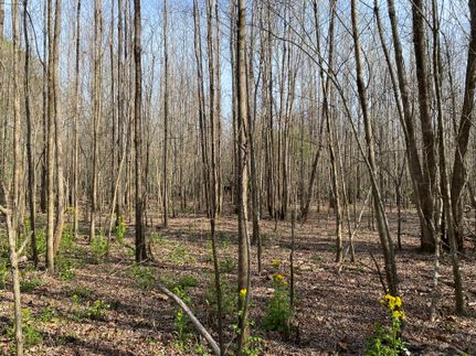 Recreational Property for sale in Lowndes County, Alabama