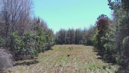 Timberland Property for sale in Pamlico County, North Carolina