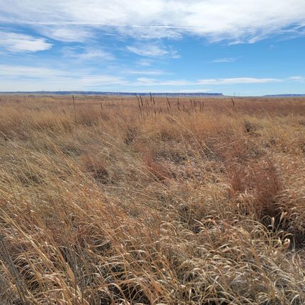 Farm and Ranch for sale in Goshen County, Wyoming