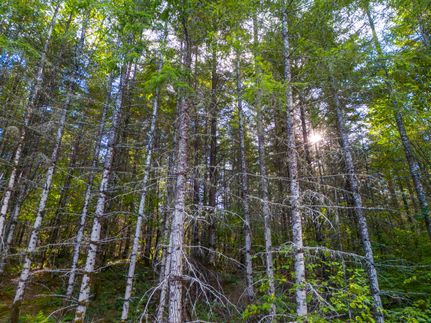 Recreational Property for sale in Yamhill County, Oregon