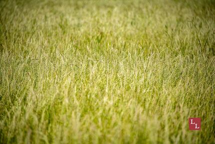 Recreational Property for sale in Jefferson County, Oklahoma