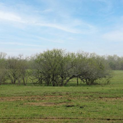 Land for sale in Dewitt County, Texas