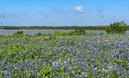 Land for sale in Dallas County, Texas
