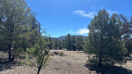 Recreational Property for sale in Catron County, New Mexico