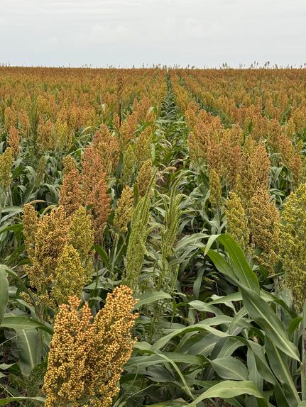 Farm and Ranch for sale in Grant County, Kansas