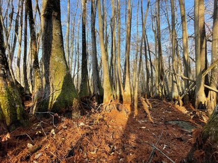 Recreational Property for sale in Holmes County, Mississippi