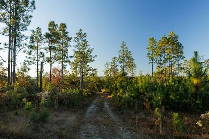 Farm and Ranch for sale in Barbour County, Alabama