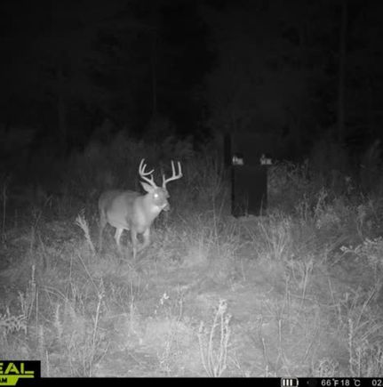 Land for sale in Barbour County, Alabama