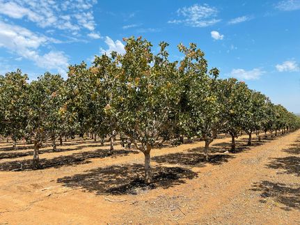 Land for sale in Fresno County, California