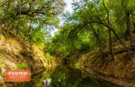 Undeveloped Land for sale in Zavala County, Texas
