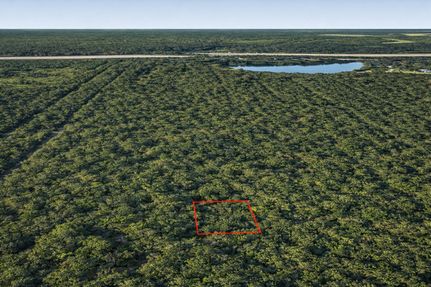 Undeveloped Land for sale in Liberty County, Texas