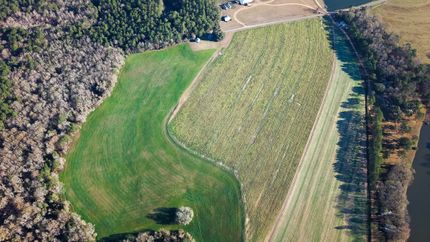 Timberland Property for sale in Colquitt County, Georgia