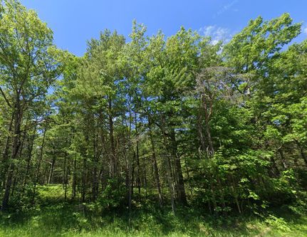 Undeveloped Land for sale in Iosco County, Michigan