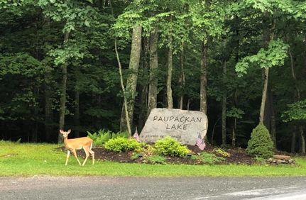 Timberland Property for sale in Wayne County, Pennsylvania