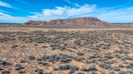 Undeveloped Land for sale in Apache County, Arizona