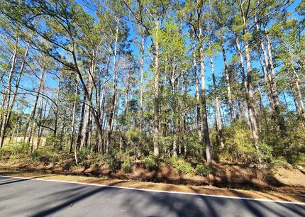 Farm and Ranch for sale in Camden County, Georgia