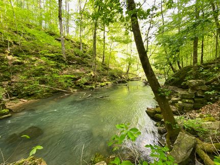 Recreational Property for sale in Cumberland County, Tennessee