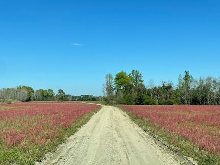 Farm and Ranch for sale in Florence County, South Carolina
