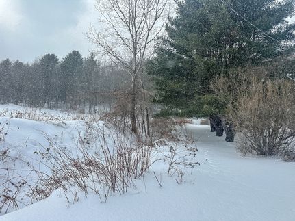 Farm and Ranch for sale in Steuben County, New York