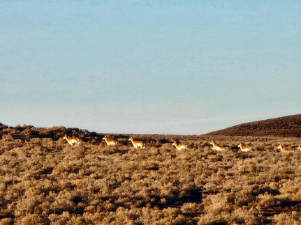 Farm and Ranch for sale in Eureka County, Nevada