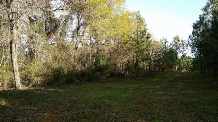 Farm and Ranch for sale in Emanuel County, Georgia